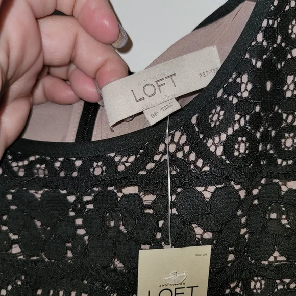 SEXY New Women's Loft Dress - Picture 6 of 8